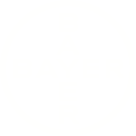 Bayer Logo