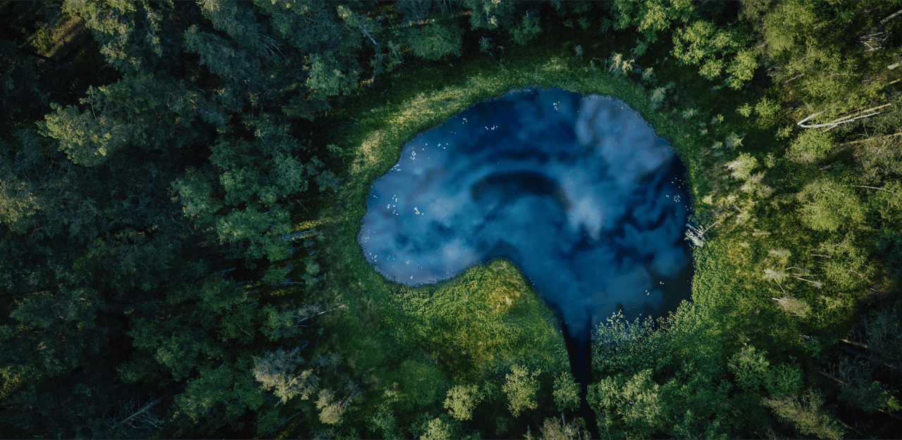 Key Visual Sustainability at Bayer in Radiology – Brain